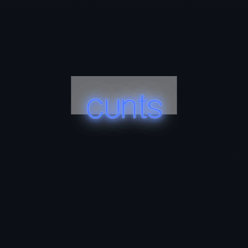 Custom neon sign - cunts