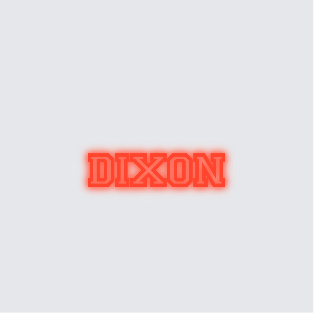 Custom neon sign - DIXON