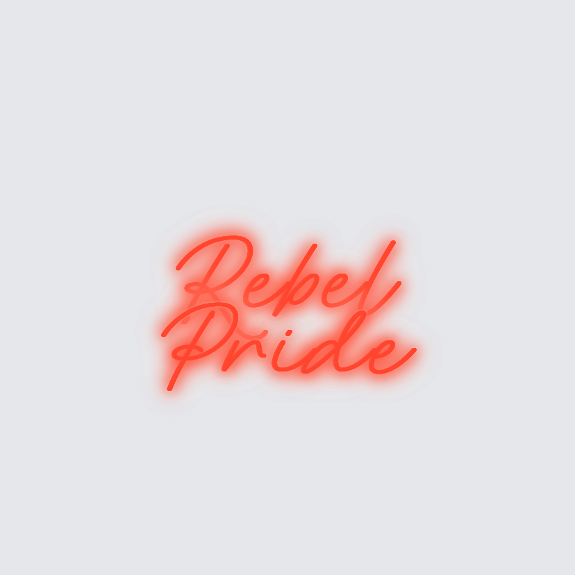 Custom neon sign - Rebel Pride