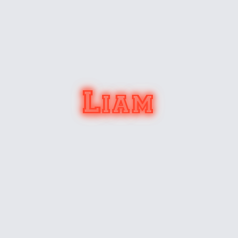 Custom neon sign - Liam