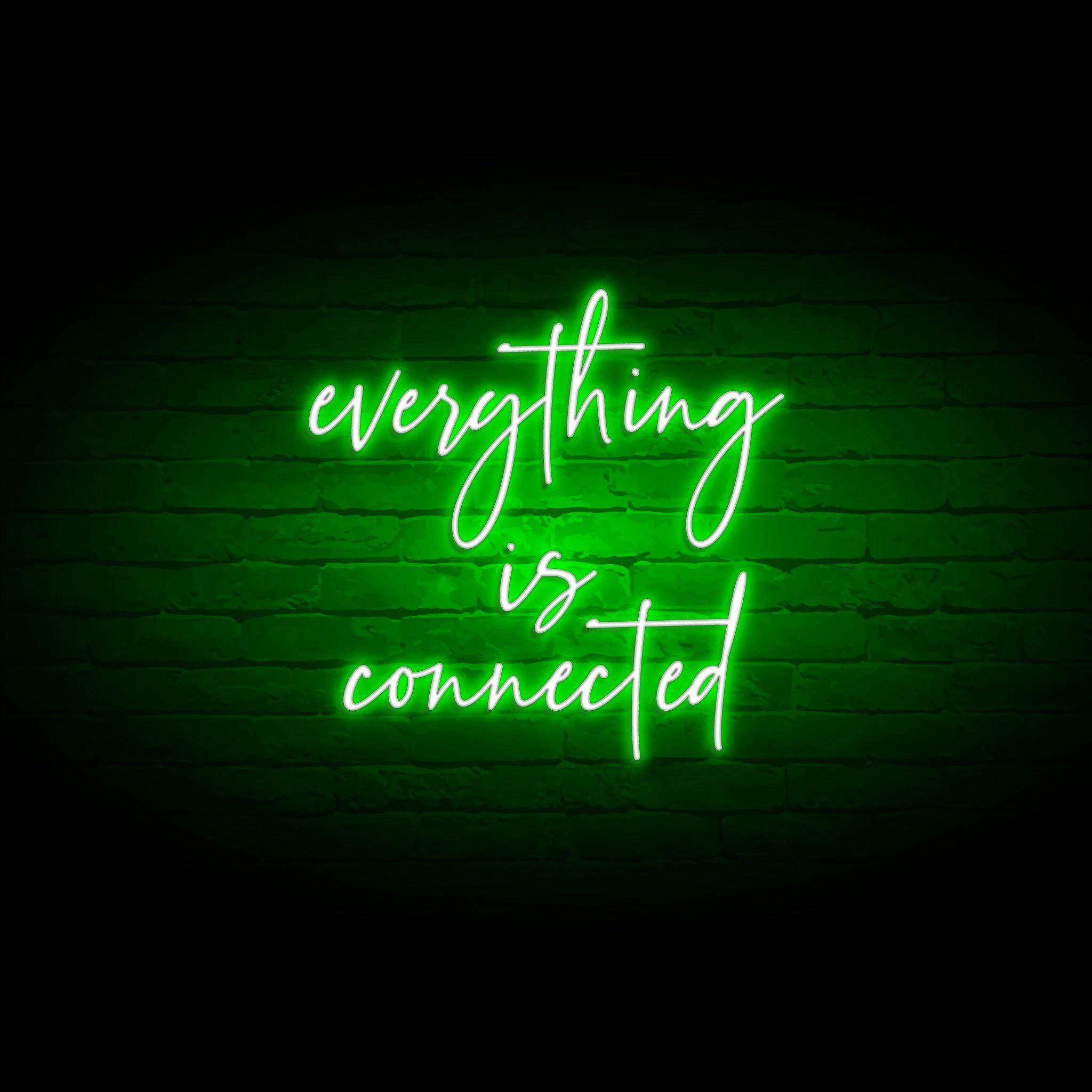 'EVERYTHING IS CONNECTED' NEON SIGN - NeonFerry