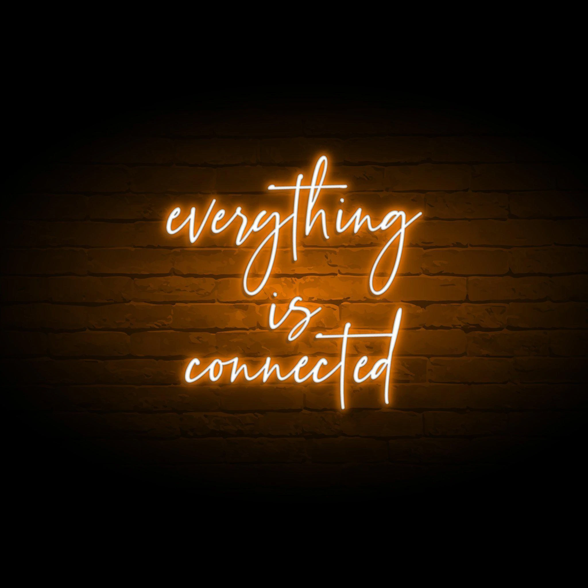 'EVERYTHING IS CONNECTED' NEON SIGN