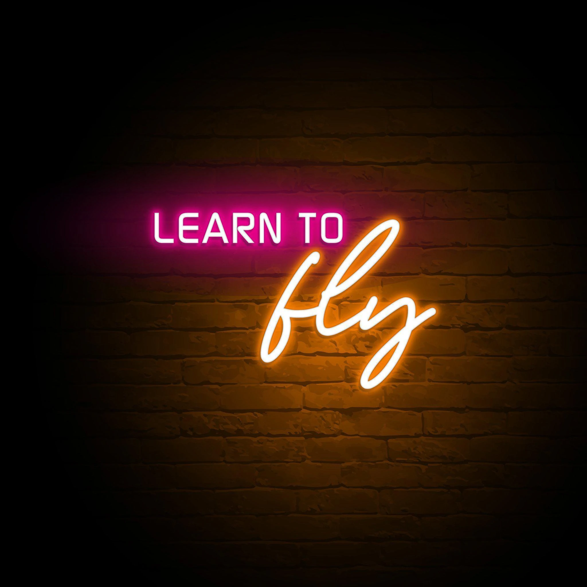 'LEARN TO FLY' NEON SIGN