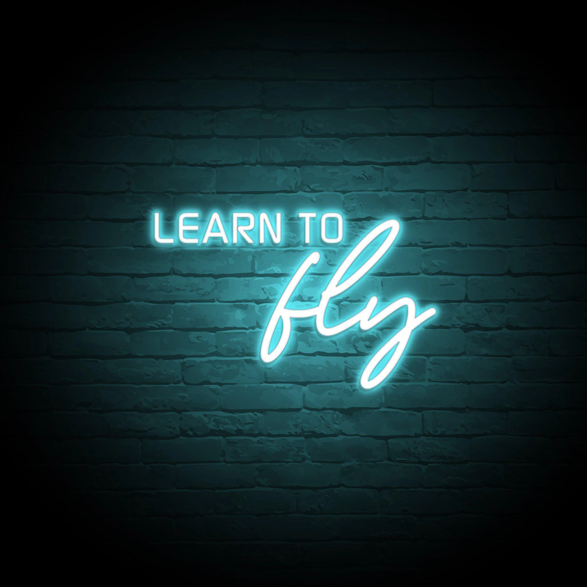 'LEARN TO FLY' NEON SIGN - NeonFerry