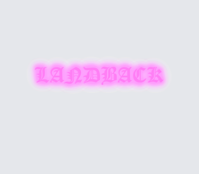 Custom neon sign - LANDBACK