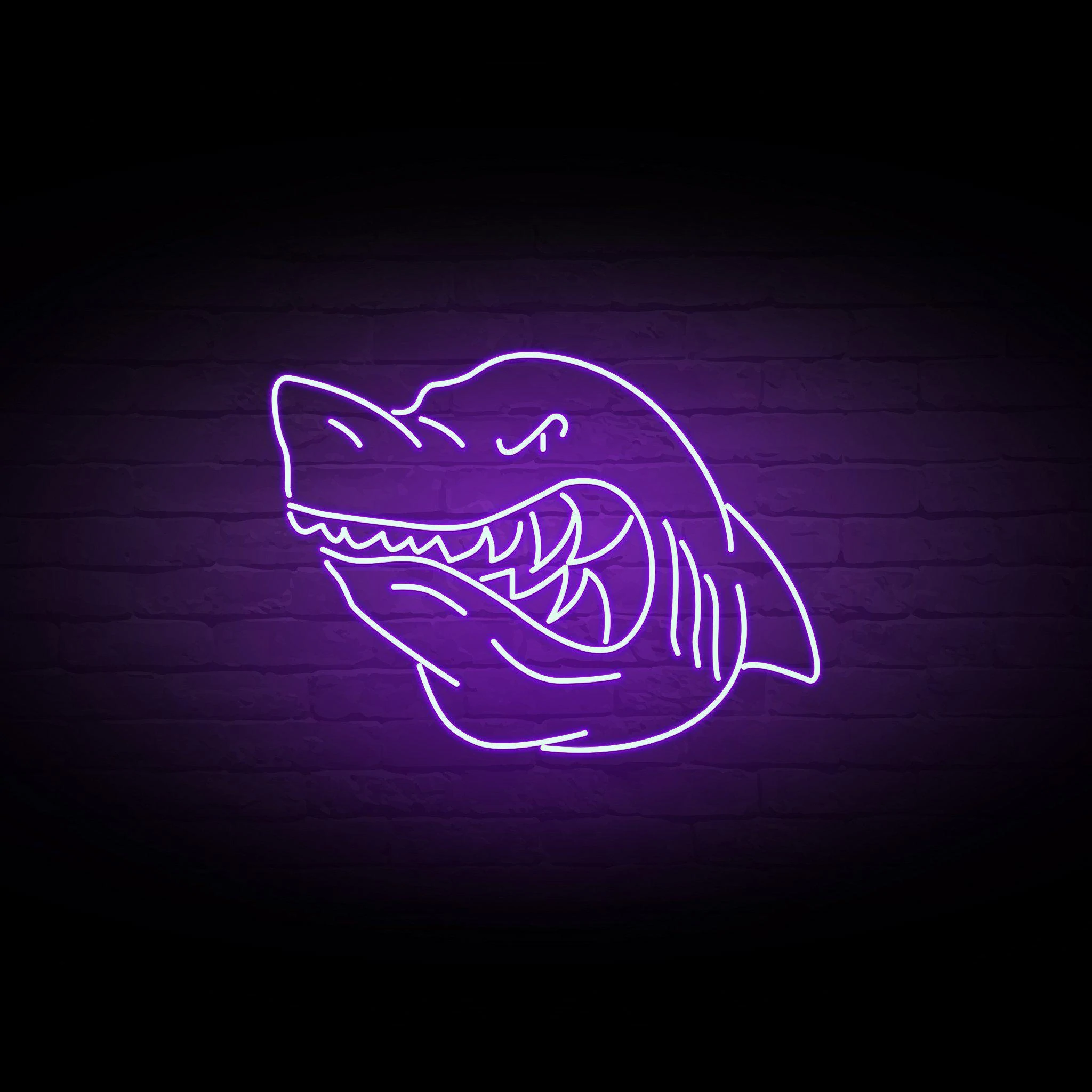 'ANGRY SHARK' NEON SIGN - NeonFerry