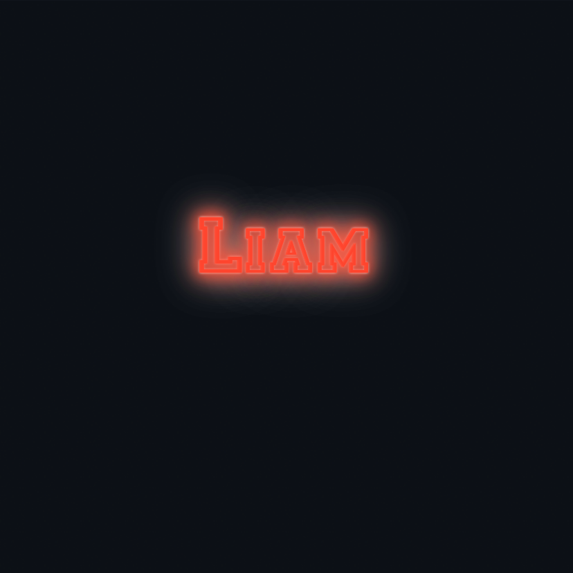 Custom neon sign - Liam