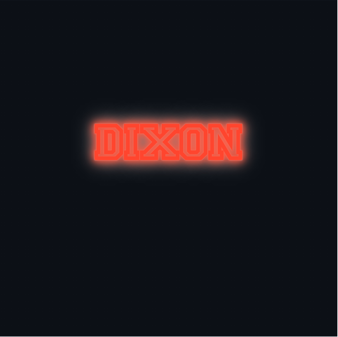 Custom neon sign - DIXON