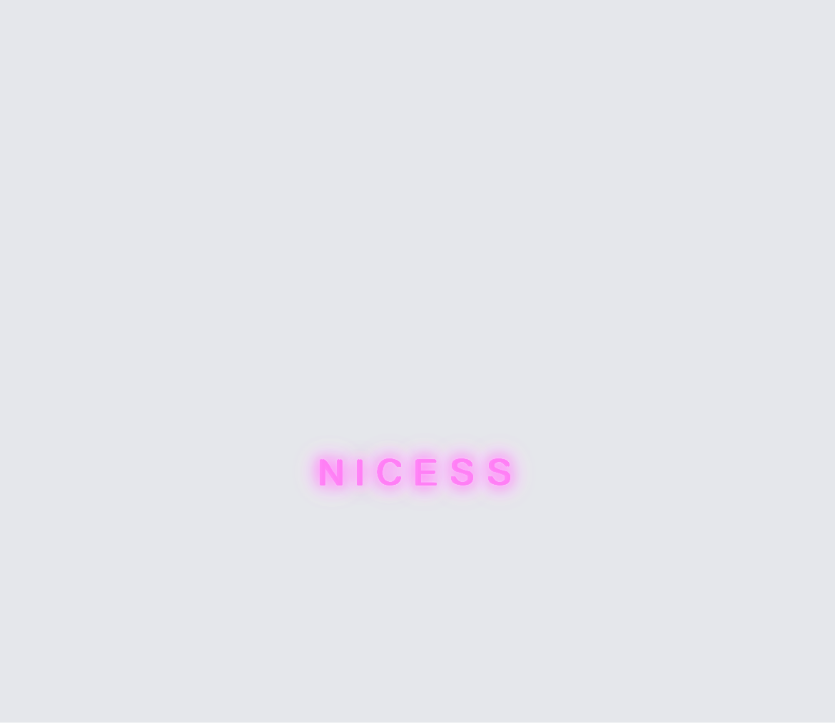 Custom neon sign - NICESS