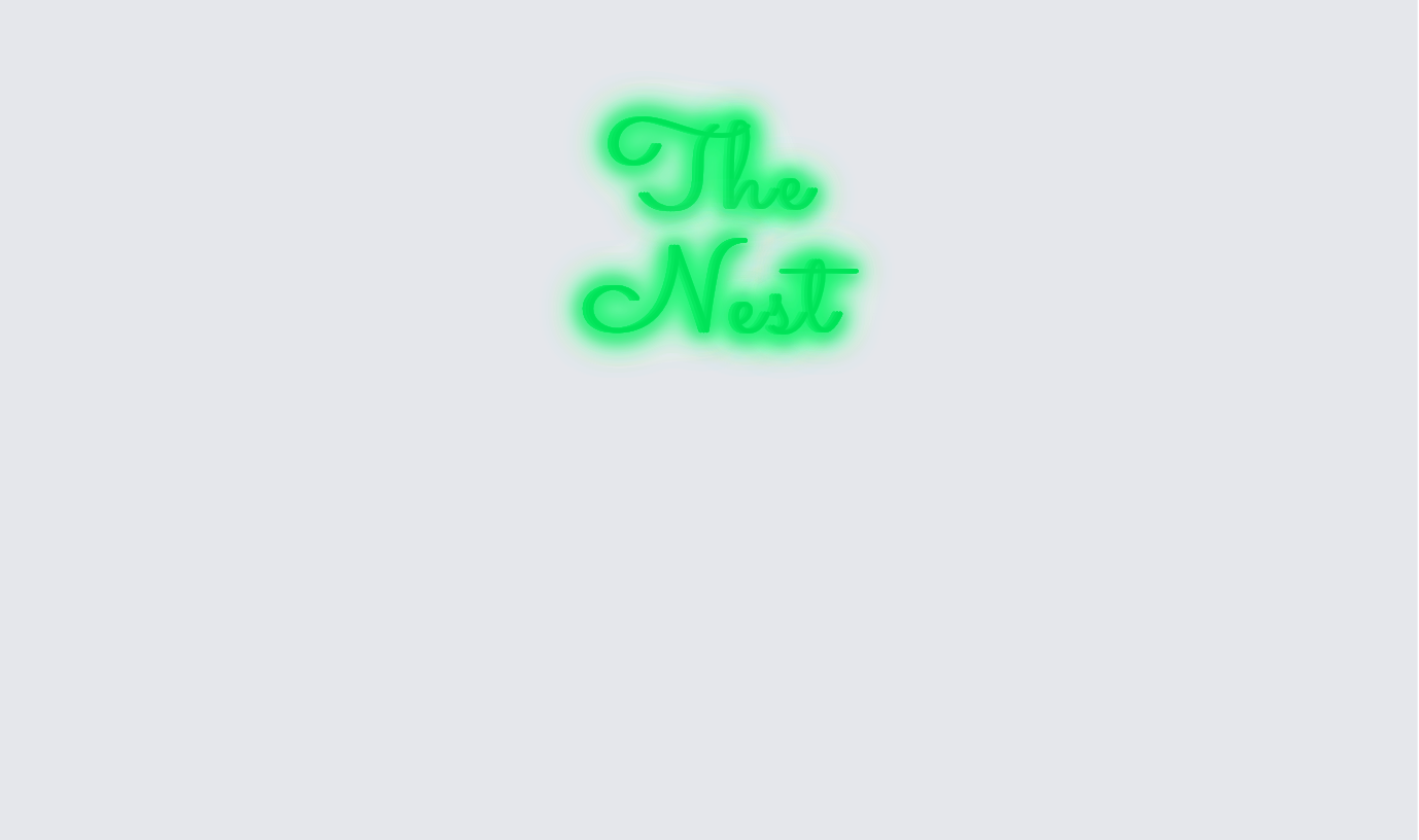 Custom neon sign - The  Nest