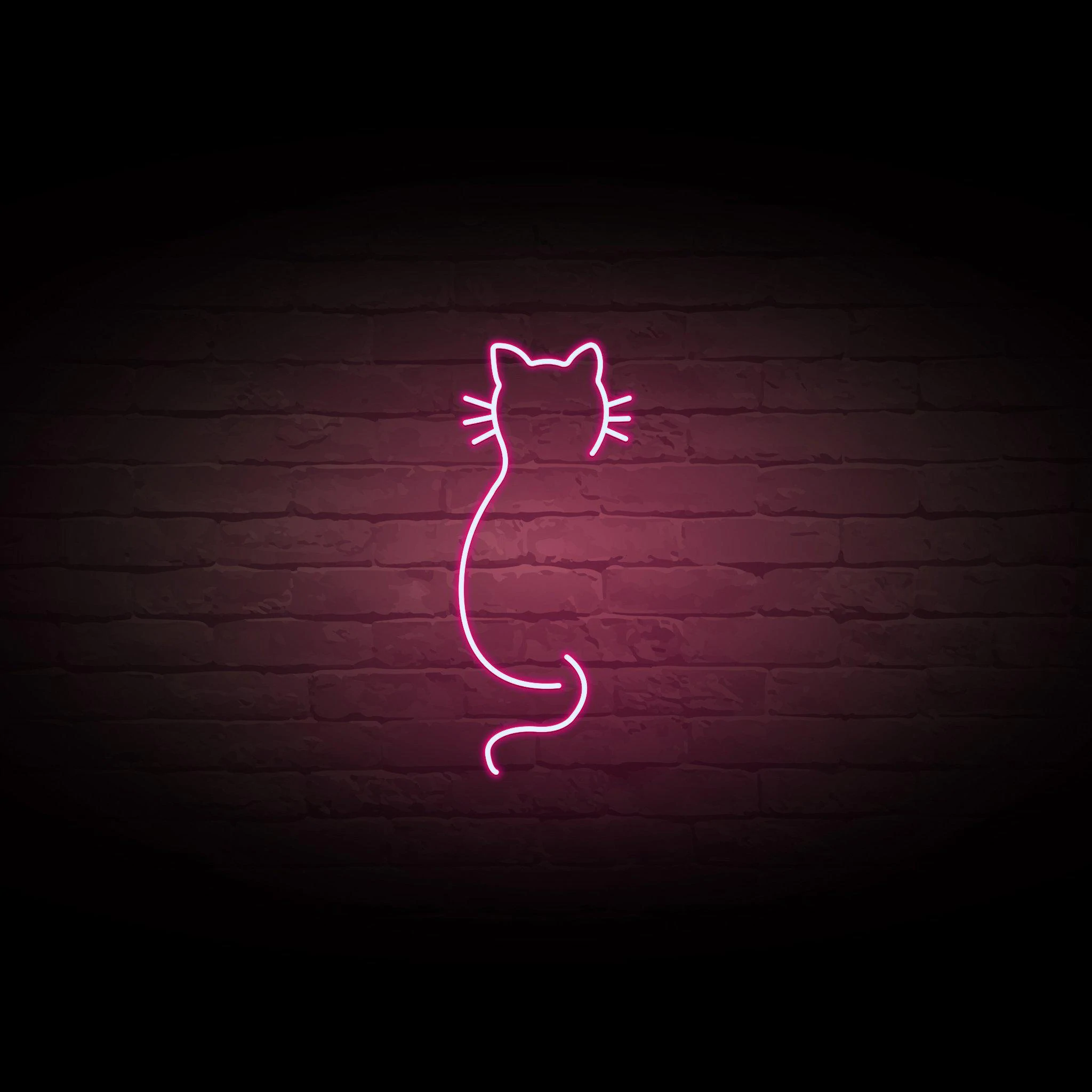 'CAT OUTLINE' NEON SIGN - NeonFerry