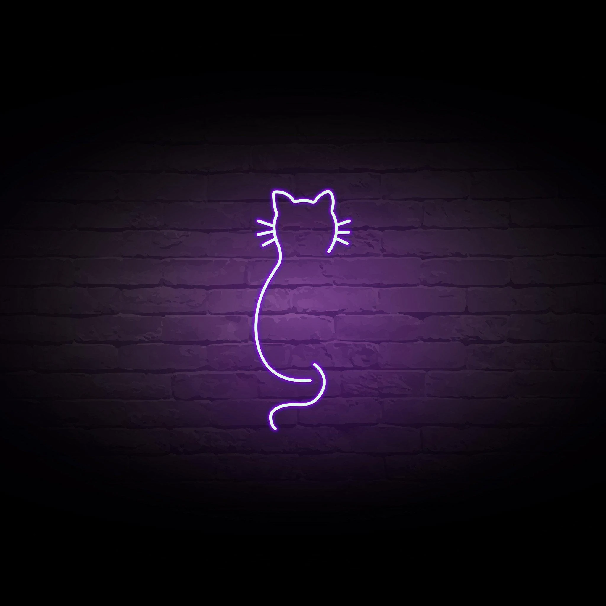 'CAT OUTLINE' NEON SIGN - NeonFerry