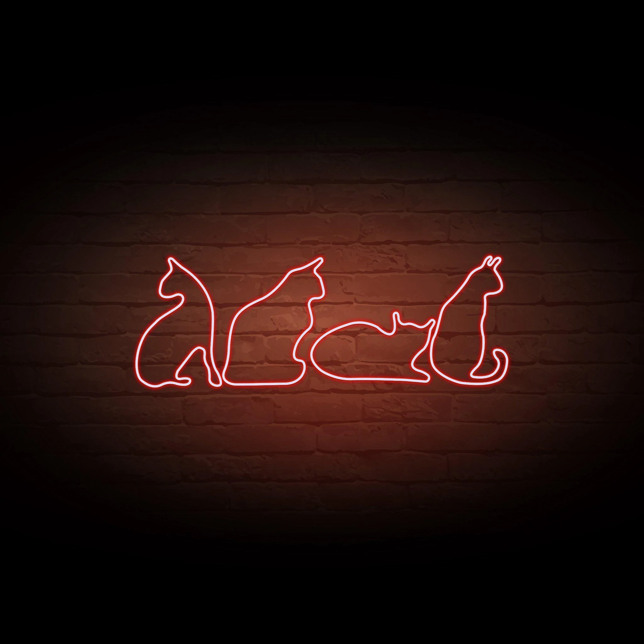 'CATS' NEON SIGN - NeonFerry