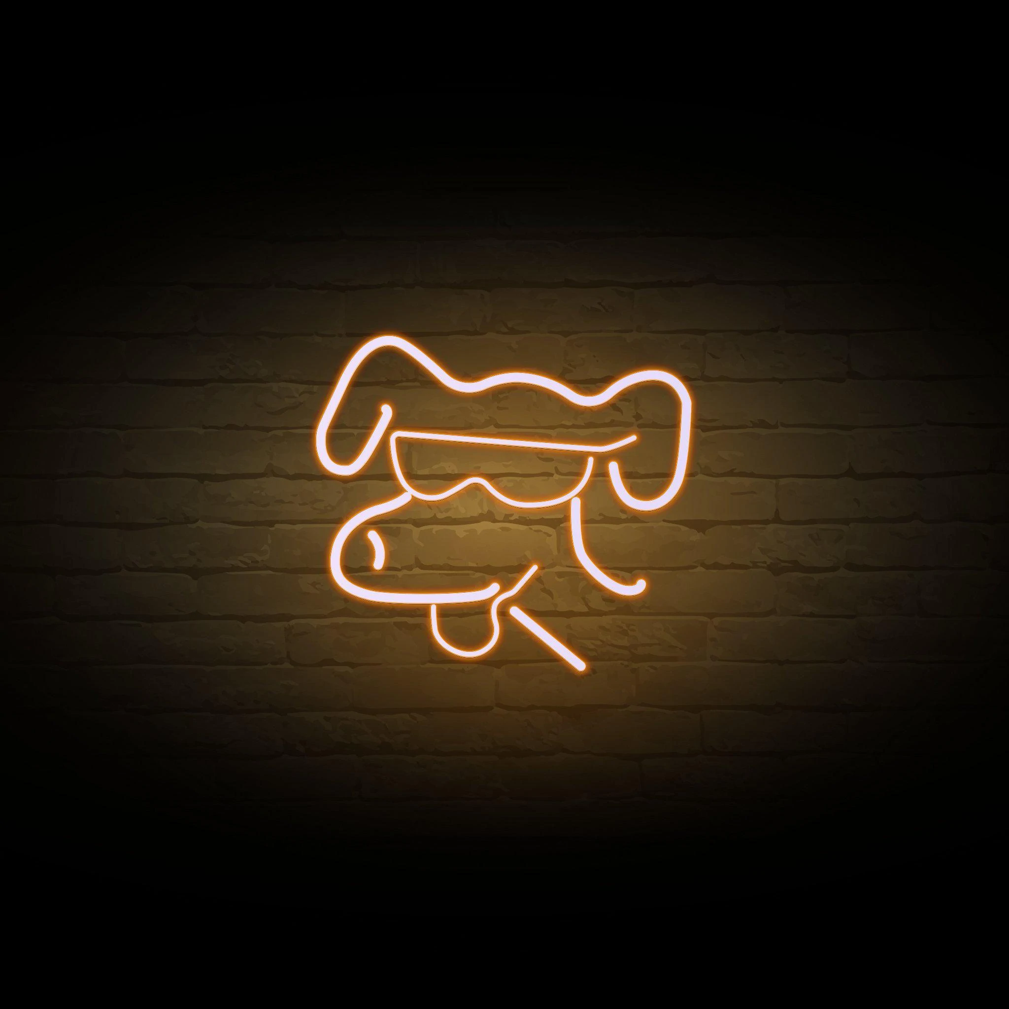 'COOL DOG' NEON SIGN - NeonFerry