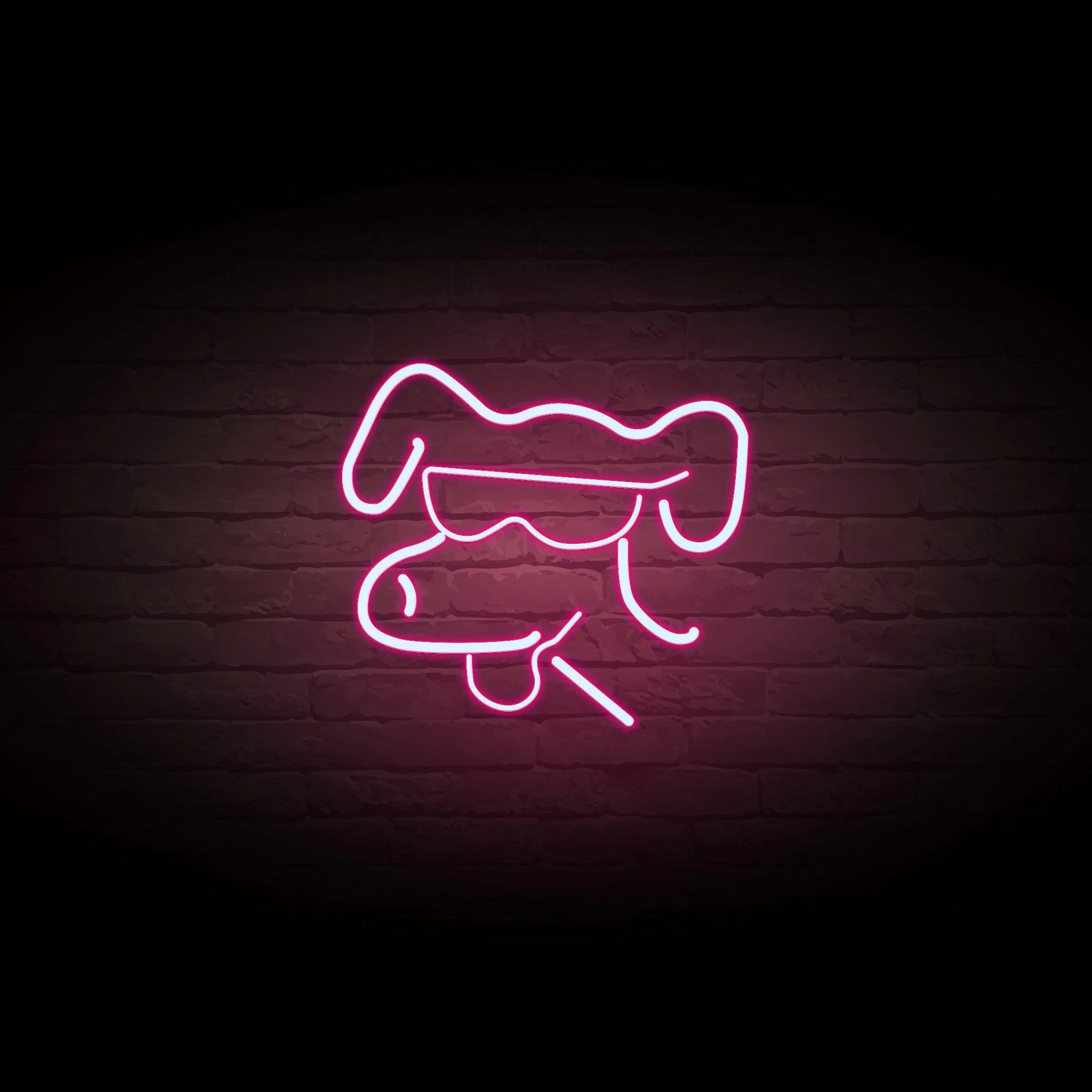 'COOL DOG' NEON SIGN - NeonFerry