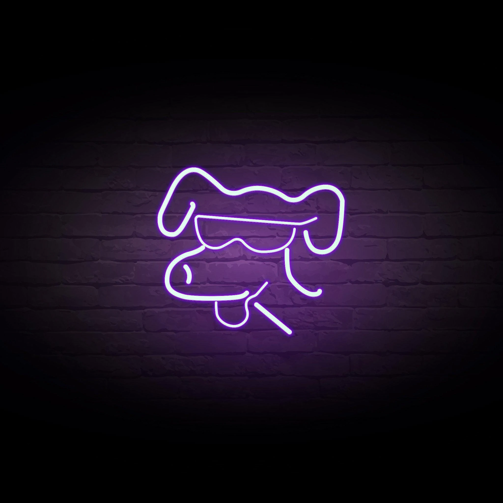 'COOL DOG' NEON SIGN - NeonFerry