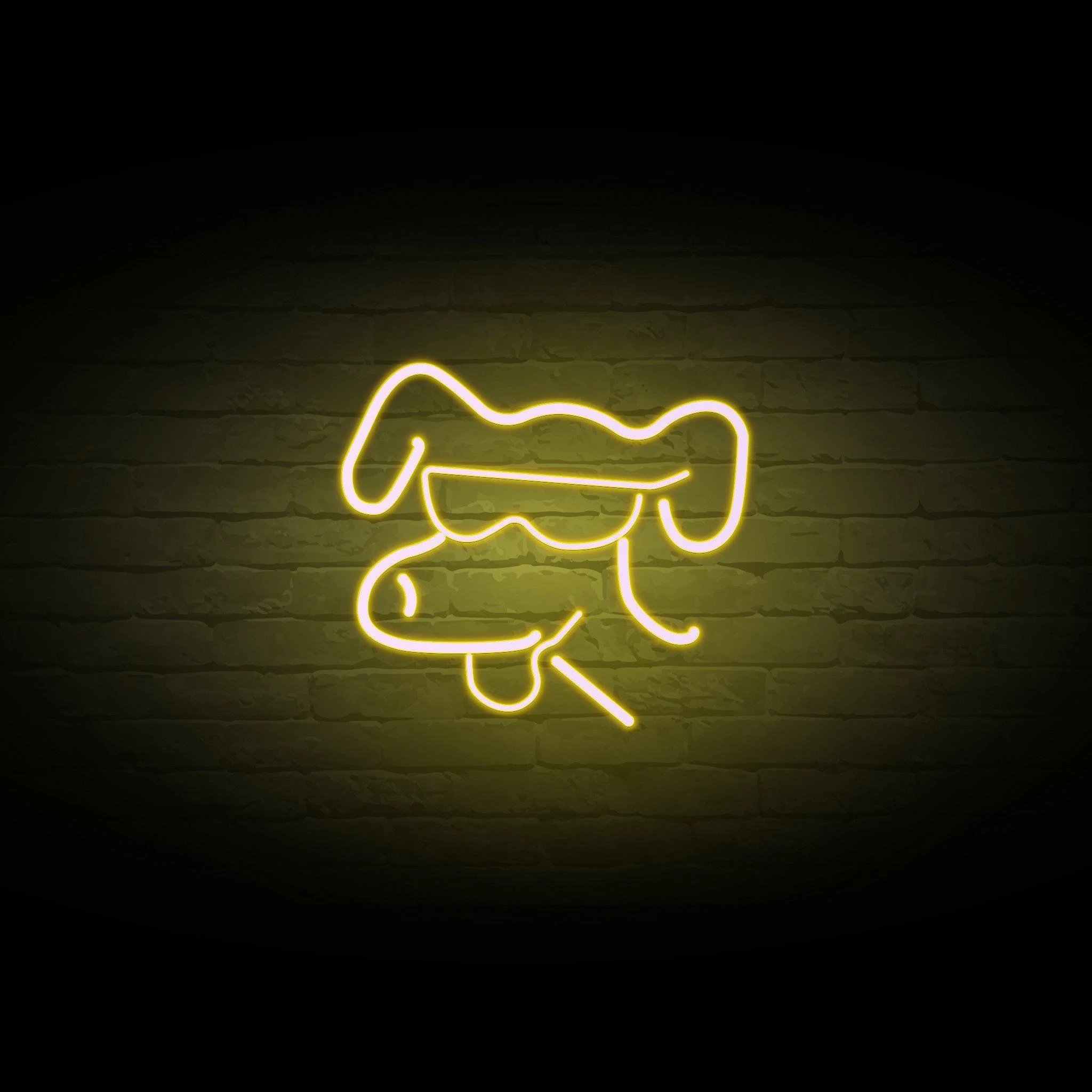 'COOL DOG' NEON SIGN