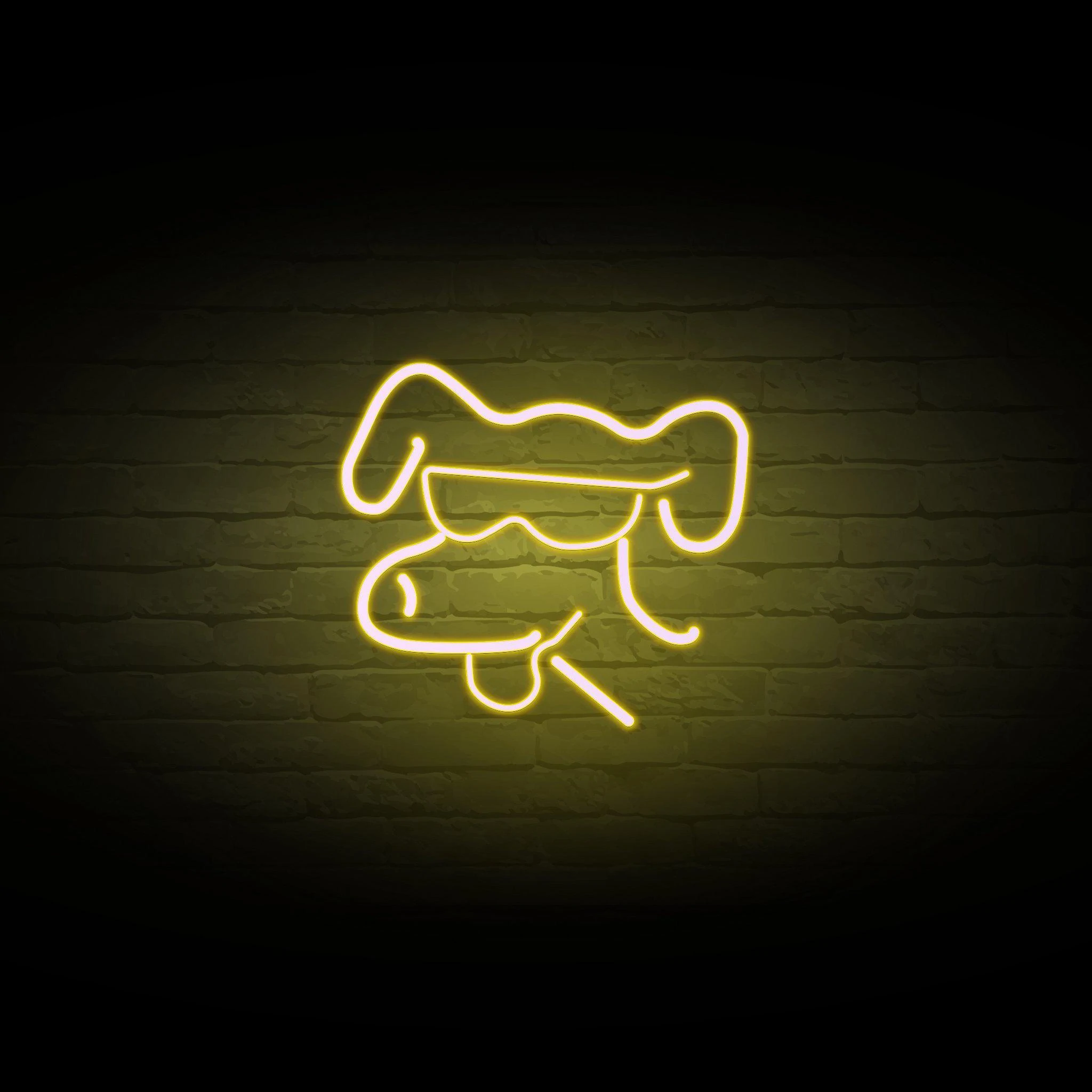 'COOL DOG' NEON SIGN - NeonFerry