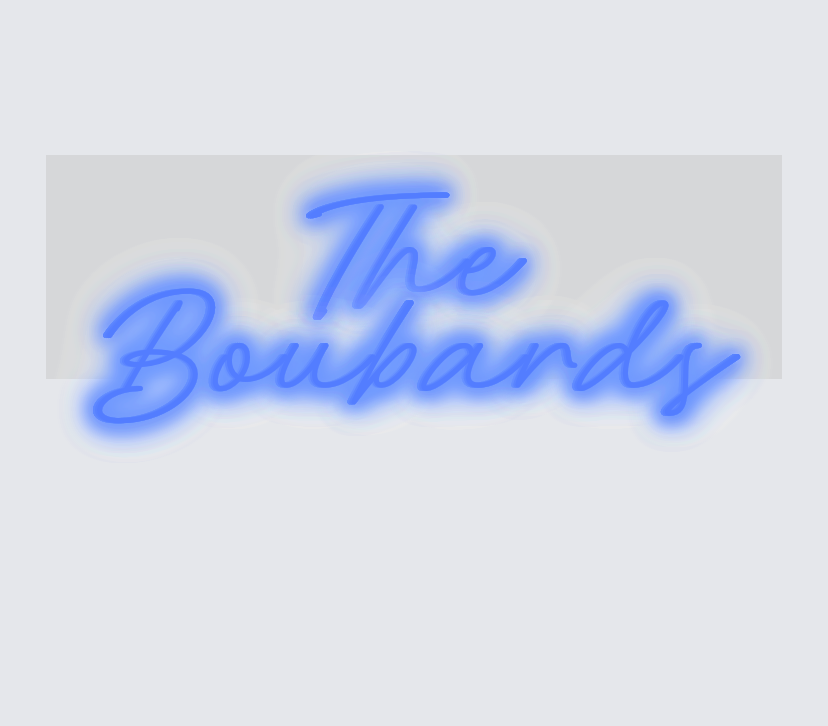 Custom neon sign - The 
 Boubards