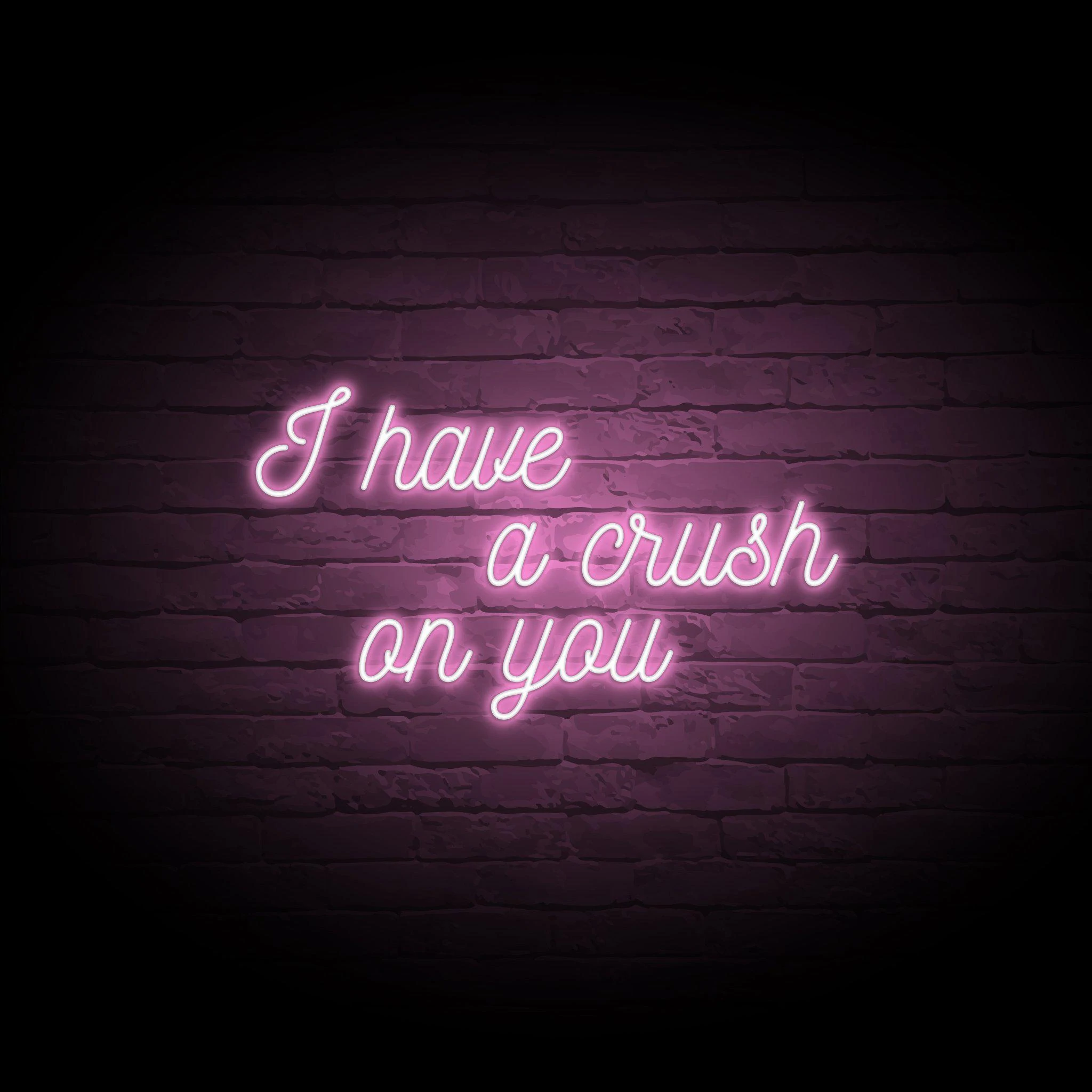 'I HAVE A CRUSH ON YOU' NEON SIGN - NeonFerry