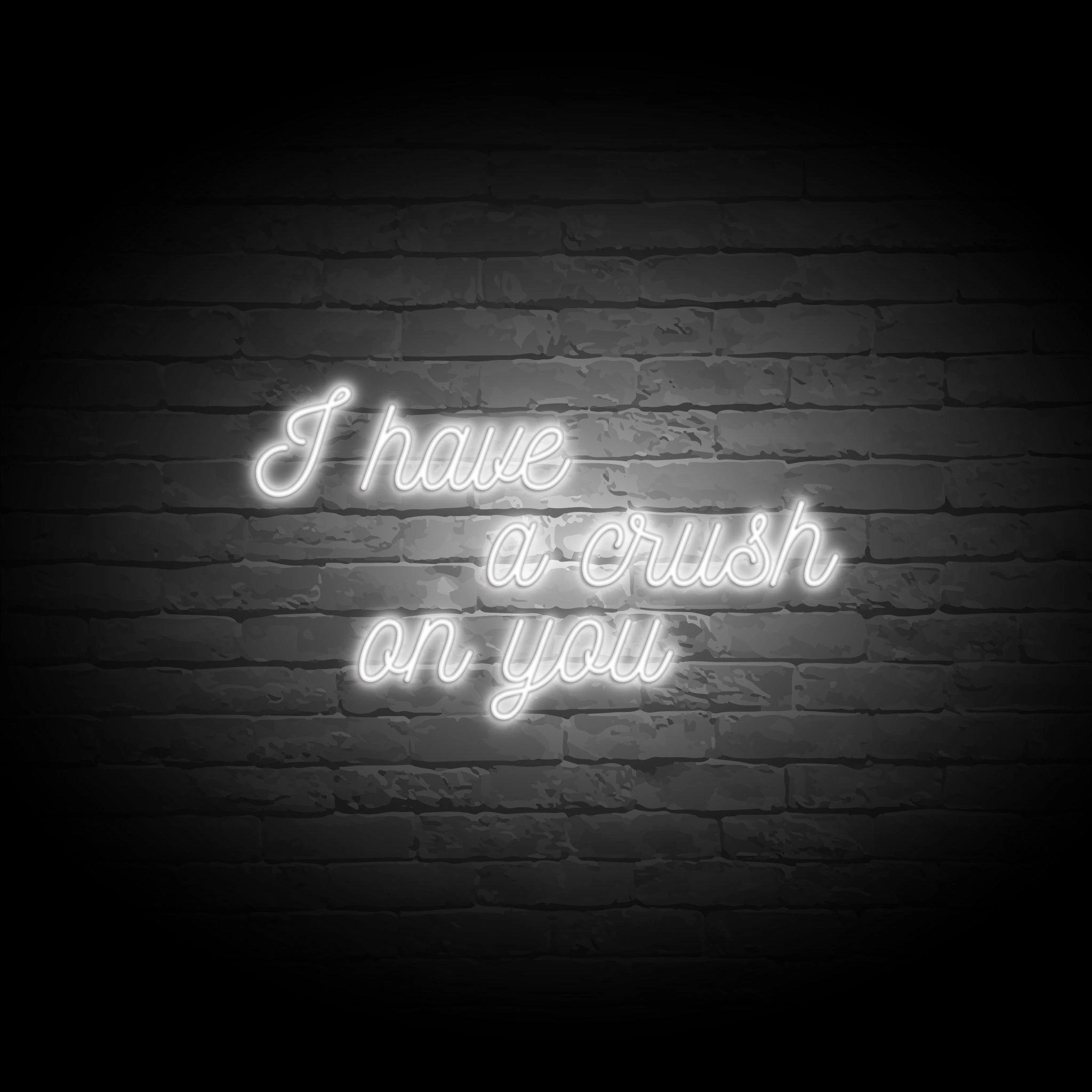 'I HAVE A CRUSH ON YOU' NEON SIGN