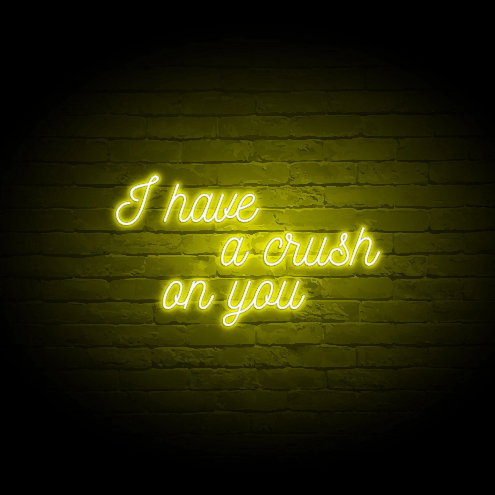 'I HAVE A CRUSH ON YOU' NEON SIGN - NeonFerry