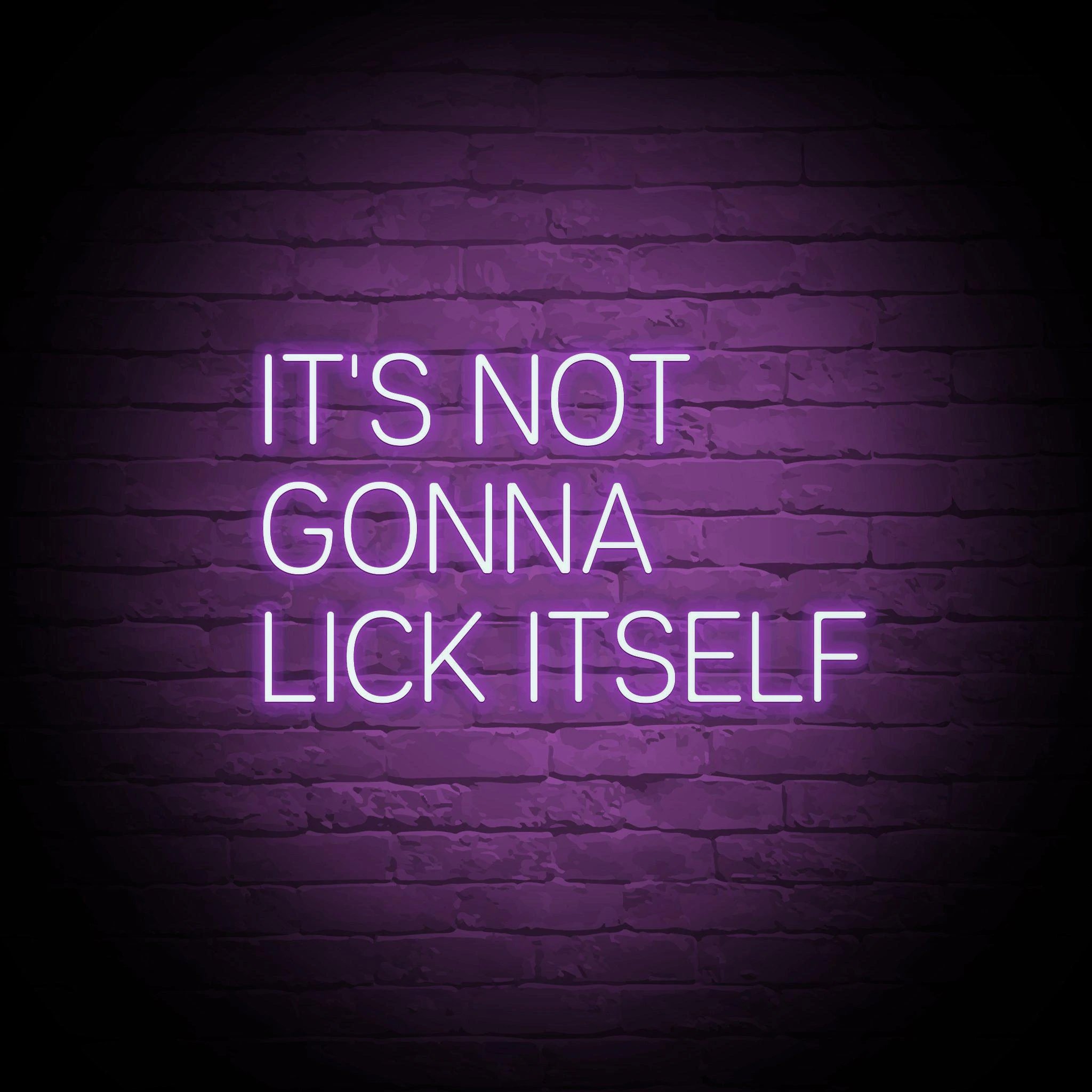 'IT'S NOT GONNA LICK ITSELF' NEON SIGN