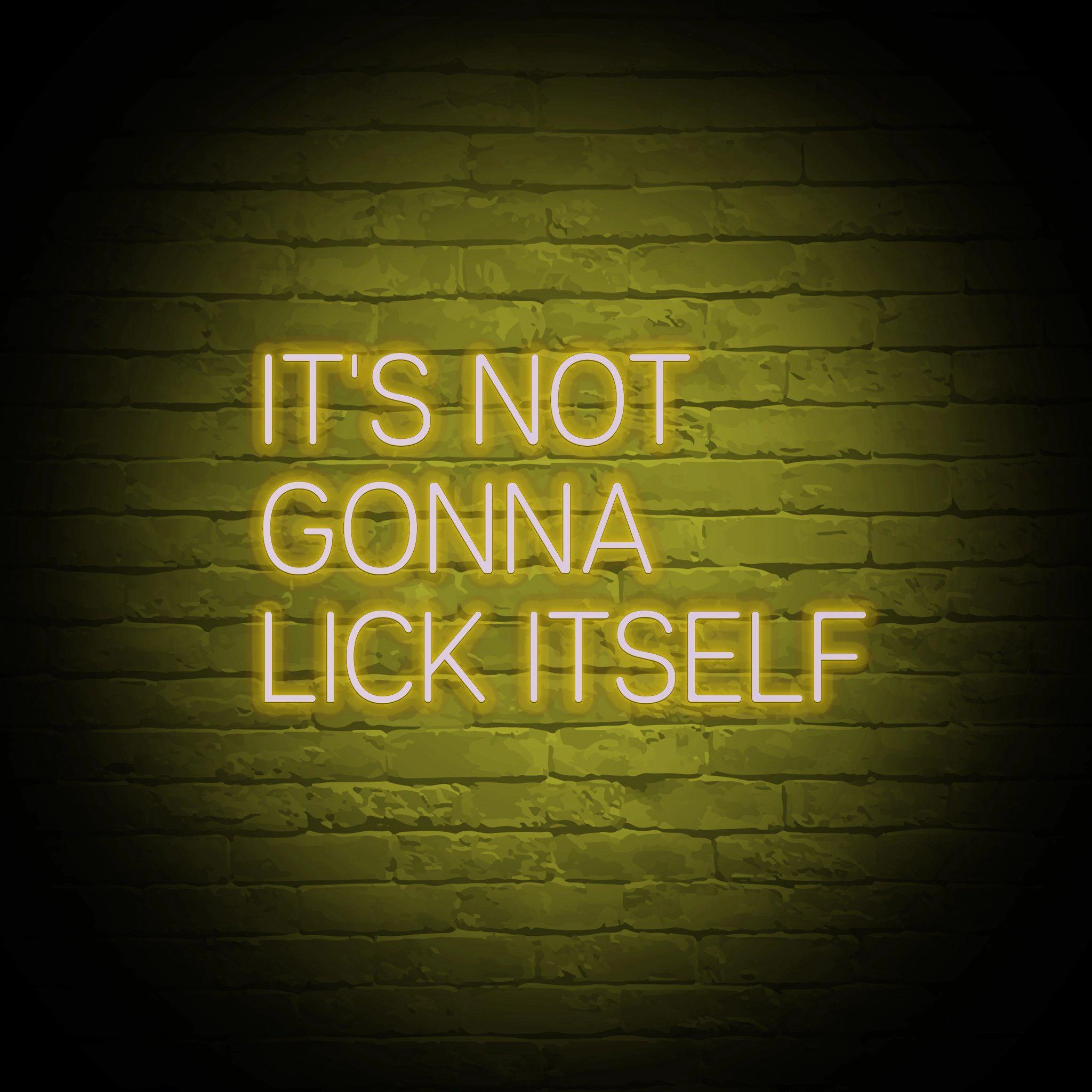 'IT'S NOT GONNA LICK ITSELF' NEON SIGN