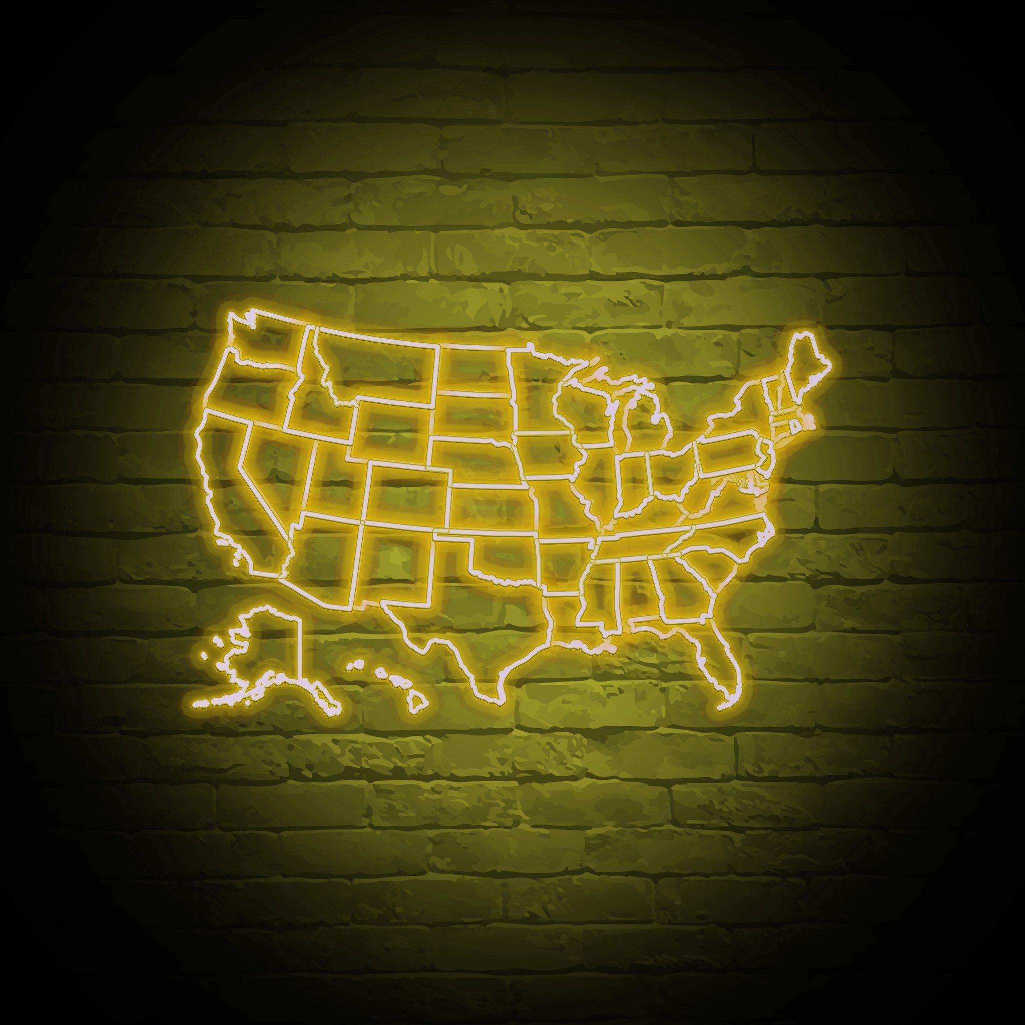 'USA' NEON SIGN - NeonFerry