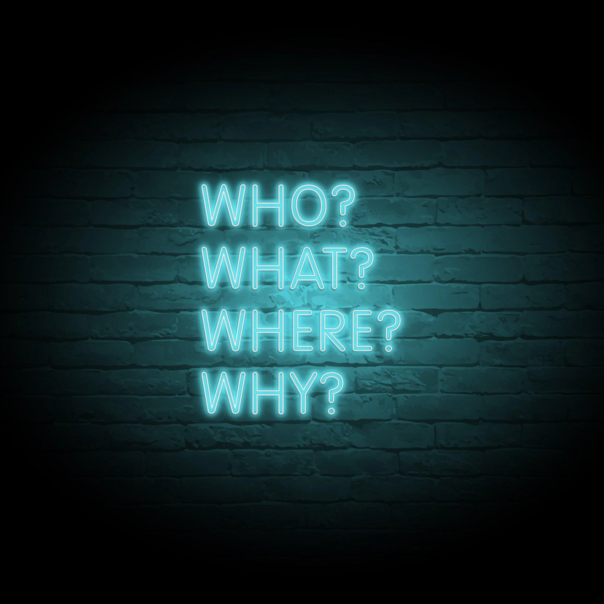'WHO? WHAT? WHERE? WHY?' NEON SIGN