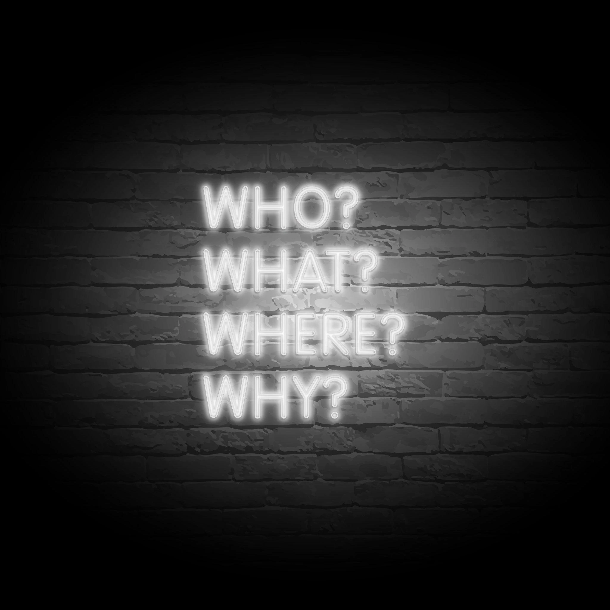 'WHO? WHAT? WHERE? WHY?' NEON SIGN